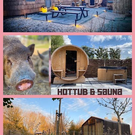 אלמיר Bed & Wellness Klein Knorrestein With Private Hottub And Sauna And Tandembike Rental Included In Price מראה חיצוני תמונה