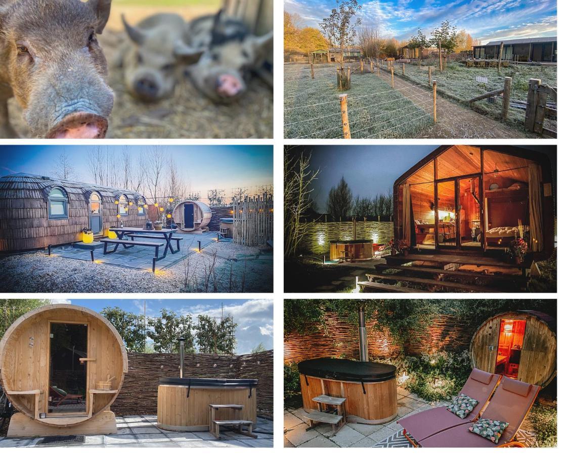 אלמיר Bed & Wellness Klein Knorrestein With Private Hottub And Sauna And Tandembike Rental Included In Price מראה חיצוני תמונה