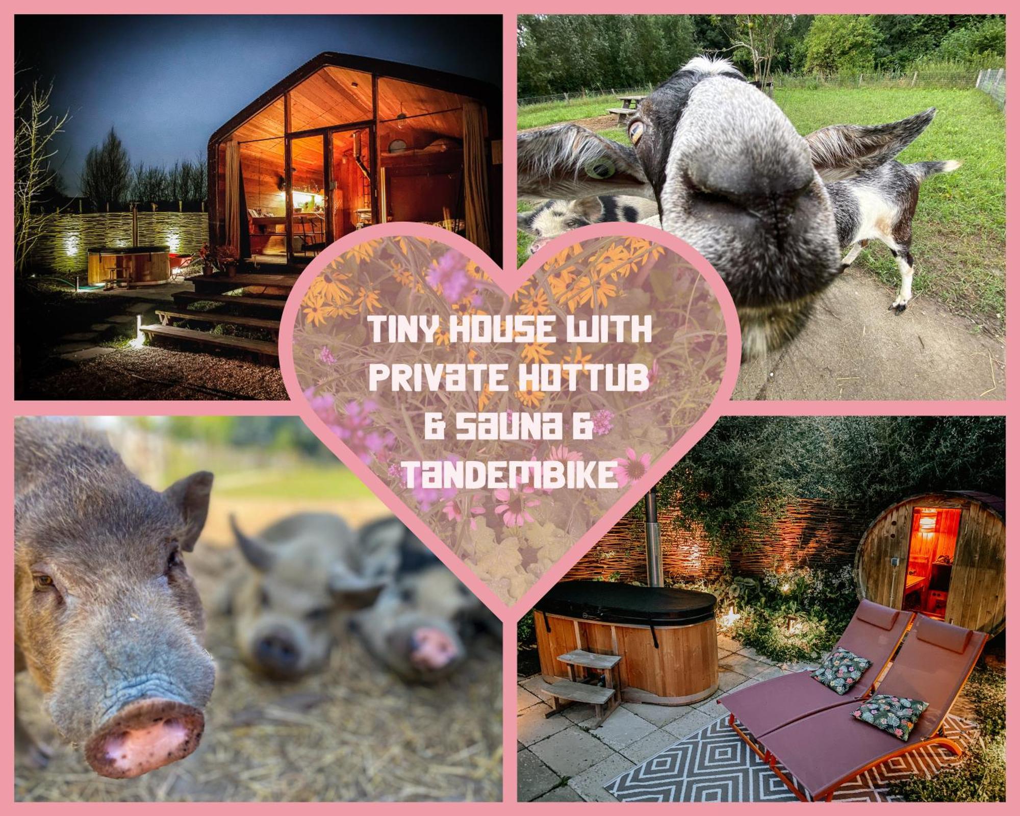 אלמיר Bed & Wellness Klein Knorrestein With Private Hottub And Sauna And Tandembike Rental Included In Price מראה חיצוני תמונה