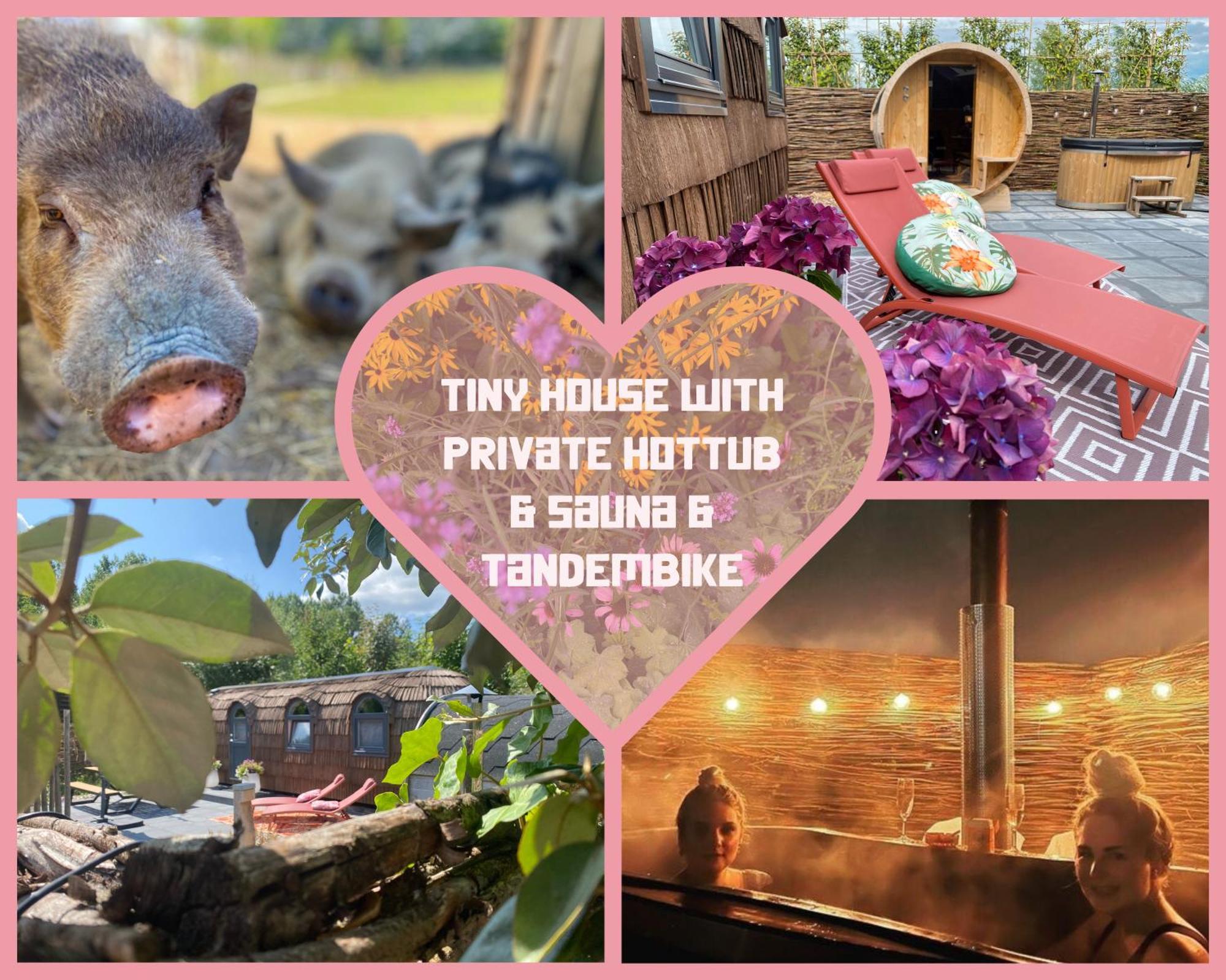 אלמיר Bed & Wellness Klein Knorrestein With Private Hottub And Sauna And Tandembike Rental Included In Price מראה חיצוני תמונה